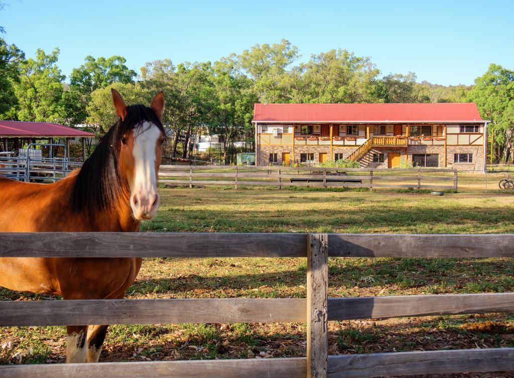 Pilliga Pottery Creative Farmstay Coonabarabran Cameră foto